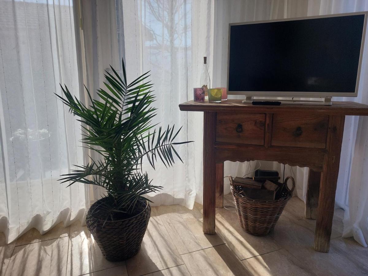 Cosy Petten, Family Only 外观 照片